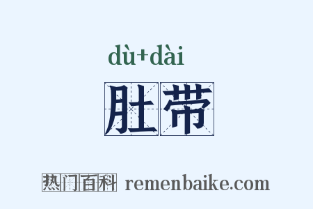 肚带是什么意思的图片